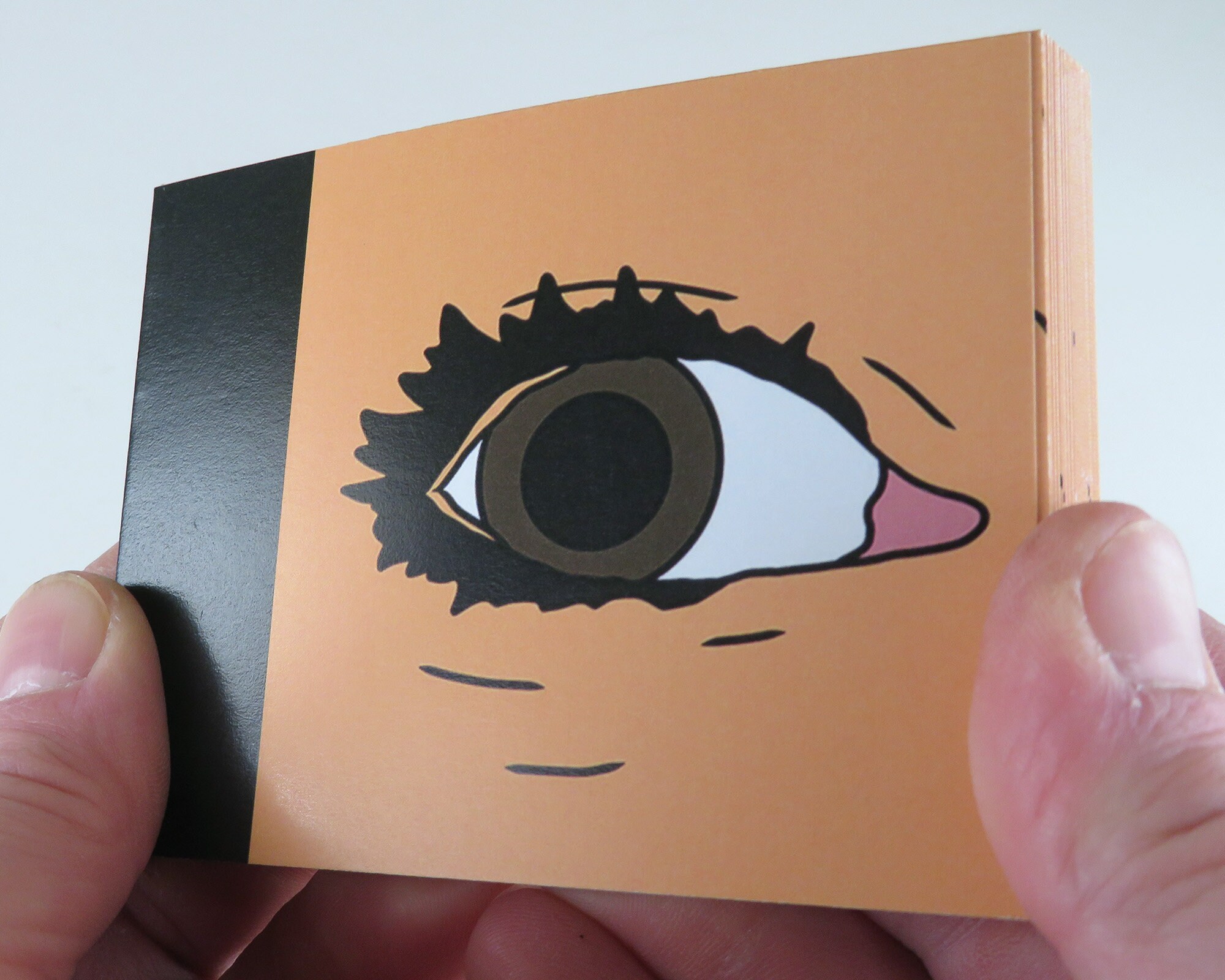 EYEBALL FLIPBOOK Paper 3 x 4 32 Page Flip Etsy