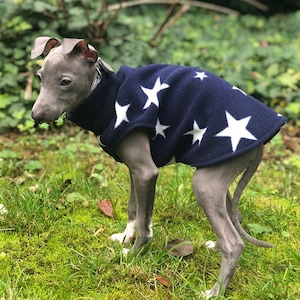 Op de afbeelding: Een kleine, grijze hond draagt een marineblauwe fleece jas met witte sterpatronen. De hond staat op groen gras, met een vage achtergrond van bladeren. De oren van de hond zijn teruggevouwen en hij lijkt opzij te kijken.