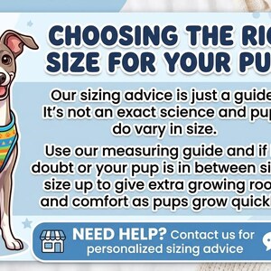 K&ouml;nnte beinhalten: Eine informative Grafik mit dem Titel CHOOSING THE RIGHT SIZE FOR YOUR PUPPY, die eine Illustration eines grau-wei&szlig;en Hundes in einem bunten Pullover, ein Ma&szlig;band-Symbol und Text zur Gr&ouml;&szlig;enbestimmung von Welpenkleidung enth&auml;lt.