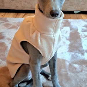 K&ouml;nnte beinhalten: Ein grauer italienischer Windhund mit gro&szlig;en dunklen Augen und Schlappohren tr&auml;gt eine cremefarbene Fleeceweste mit hohem Kragen. Der Hund sitzt in einer nach vorne gerichteten Position und zeigt ein glattes Fell sowie wei&szlig;e Pfotenabzeichen.