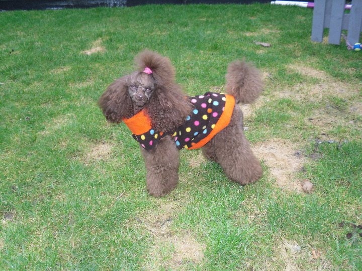 Toy & Miniature Poodle Polar Fleece Jumper Sweater Top in Etsy UK