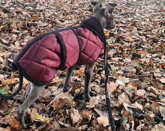 Waterdichte, gewatteerde, met fleece gevoerde Italiaanse windhondpuppyjas in één maat