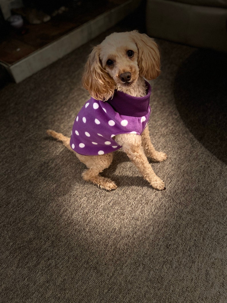 Toy & Miniature Poodle Polar Fleece Jumper Sweater in Plain Etsy UK