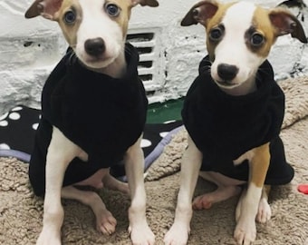 Hound puppy vest for Whippets, wiggys, whippigs and Iggys in polar fleece
