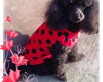 poodle jumper