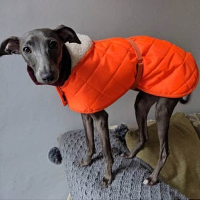 Sherpa Fleece Lined Italian Greyhound Waterproof Coat With Etsy