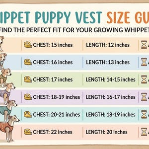 K&ouml;nnte beinhalten: Eine Gr&ouml;&szlig;entabelle f&uuml;r Whippet-Welpenwesten mit sechs Zeilen von S bis XXXL. Jede Zeile zeigt einen gezeichneten Whippet, Brustma&szlig;e in Zoll, L&auml;nge in Zoll und Altersangaben. Der Text lautet Whippet Puppy Vest Size Guide.