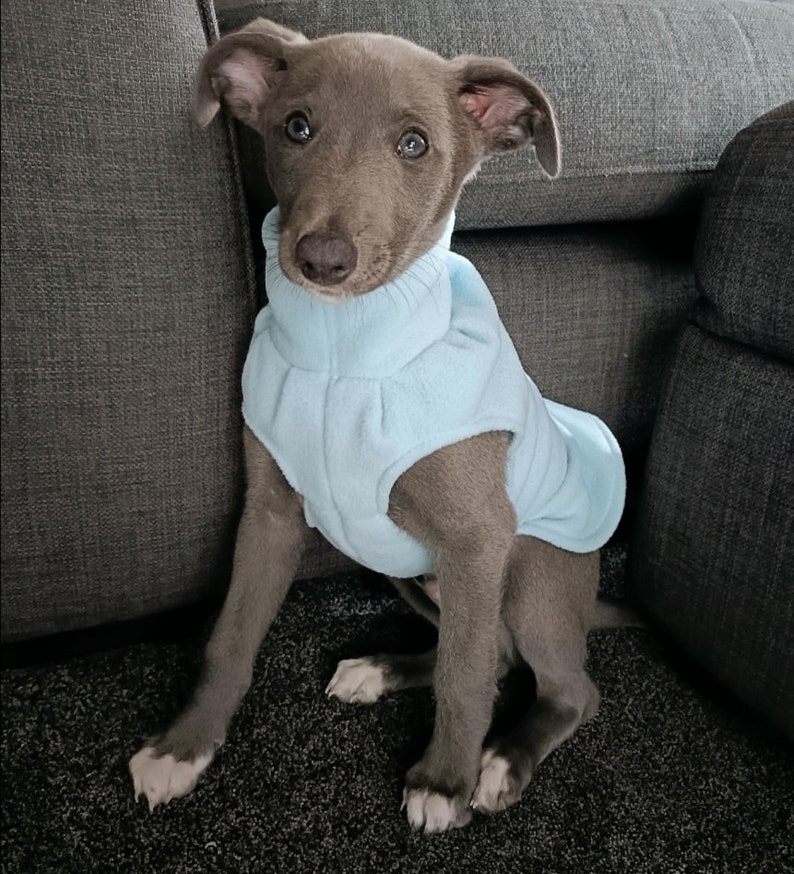 Whippet puppy vest in polar fleece image 10