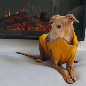 Puppy Italian Greyhound vest in polar fleece