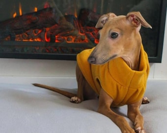 Puppy Italian Greyhound vest in polar fleece