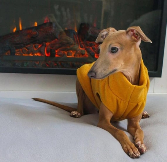 Puppy Italian Greyhound vest in polar fleece