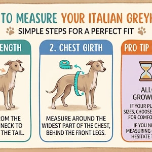 Puppy Italian Greyhound vest in polar fleece afbeelding 5