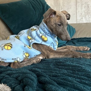 K&ouml;nnte beinhalten: Ein gestromter Hund tr&auml;gt eine hellblaue Fleeceweste mit einem sich wiederholenden Muster aus gelben und schwarzen Hummeln mit wei&szlig;en Fl&uuml;geln. Die Weste hat einen hohen Kragen und bedeckt den R&uuml;cken und die Brust des liegenden Hundes.
