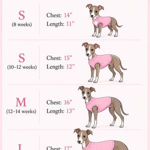 Puppy Italian Greyhound vest in polar fleece afbeelding 4