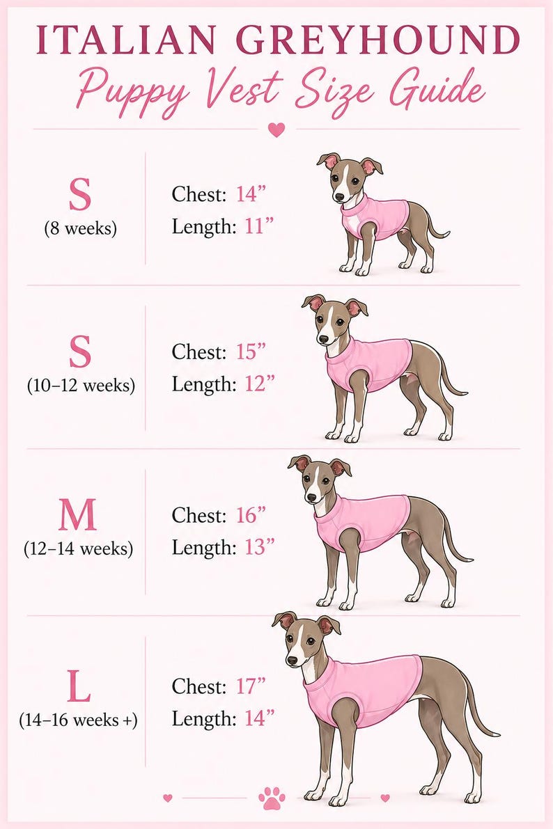 Puppy Italian Greyhound vest in polar fleece afbeelding 4