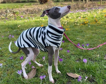 Italian greyhound simple  vest in plain and patterned polar fleece in 6 sizes or made to measure up to a max chest of 20" & length of 18"