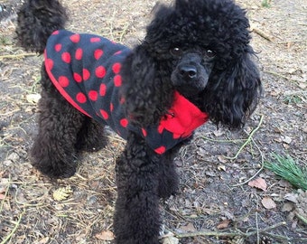 poodle jumper