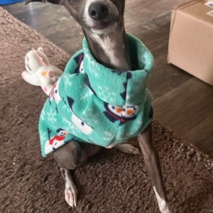 Op de afbeelding: Een kleine, grijze Italiaanse Greyhound-hond met een teal fleece trui met een sneeuwpop patroon. De hond zit op een bruin tapijt, met een wit knuffeldier en een blauwe plastic kom op de achtergrond.