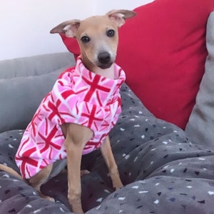 Op de afbeelding: Een kleine, bruinachtige hond draagt een hondenvest met roze en rode patronen. De hond zit op een grijze deken met een rood kussen op de achtergrond. De trui heeft een herhalend kruisontwerp.