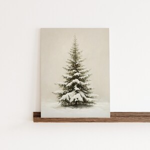 May include: A snowy evergreen tree stands tall against a muted beige background. The tree is covered in a light dusting of snow, and the branches are spread out in a symmetrical pattern.