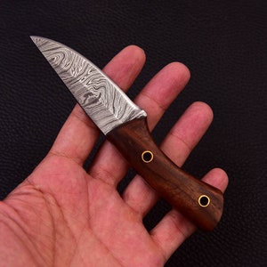 May include: A small, hand-crafted knife with a Damascus steel blade and a dark wood handle. The handle has two brass rivets.