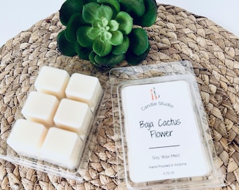 Baja Cactus Flower Wax Melts, Handmade Soy Wax Melts, Floral and Coconut Scent, Spring Scented Wax Melts and Gifts