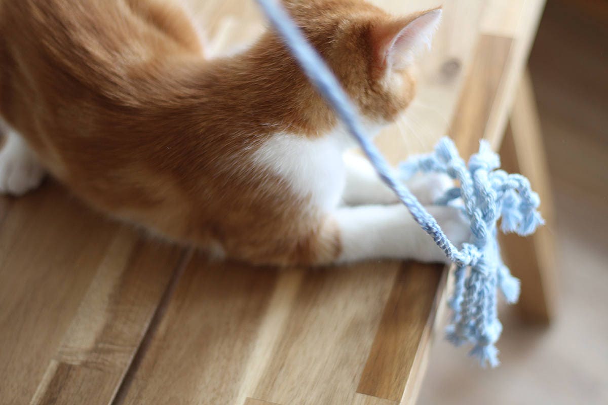 Cat String Toy Cotton Spider Gift for Cats and Cat Lovers | Etsy