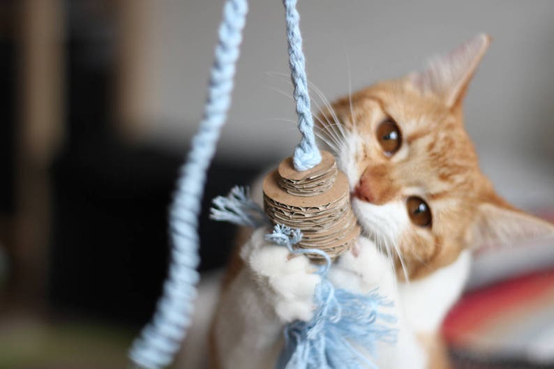 String Cat Toy Cotton Tassel with Cardboard Eco Friendly Etsy