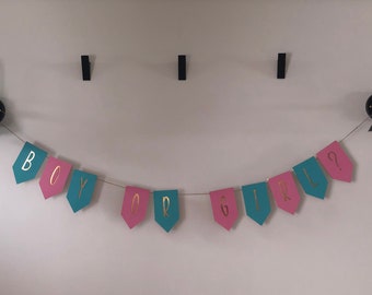 Gender Reveal Banner, boy or girl, baby girl, baby boy, banner