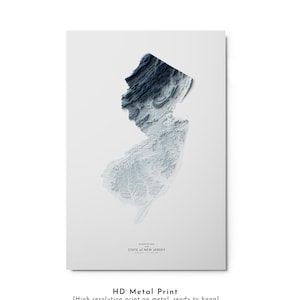 Kaart van New Jersey, kaart van de staat New Jersey, kaartillustraties, landschap van New Jersey, geologiekunst, terreinkaart, kunst van New Jersey, print van New Jersey