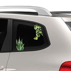May include: A silver car with two green plant decals on the back window. The decals are of a snake plant and a vine.