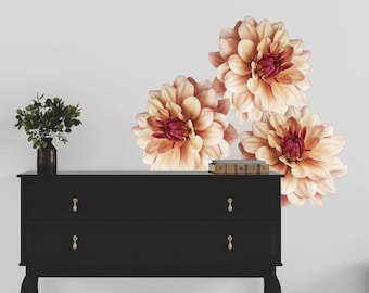 May include: Three large, peach-colored dahlia flowers with pink centers are arranged on a white wall. The flowers are in a cluster, with the top flower slightly overlapping the two lower flowers. The flowers are in focus, while the background is blurred.