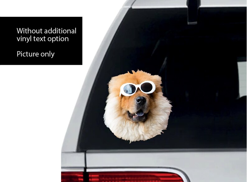 Custom Pet Sticker Diecut Dog Decals for Car Cat Laptop Etsy