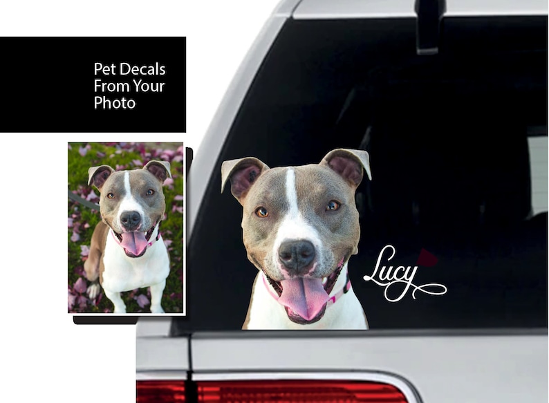 Custom Pet Sticker Diecut Dog Decals for Car Cat Laptop Etsy