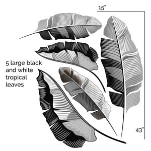 May include: Five large black and white tropical leaves arranged in a circular pattern. The largest leaf measures 43 inches in length. The text in the image reads: "5 large black and white tropical leaves."