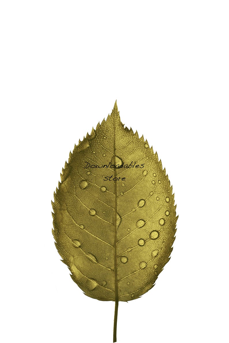Gold Leaf Wall Art. Green Leaf Poster. Four JPG Files. Printable Wall