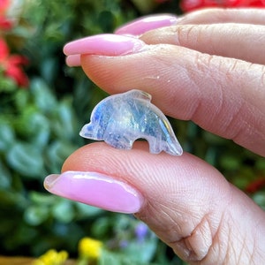 Moonstone Mini Dolphin Carving - Sacral Chakra - No. 931