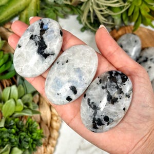 Rainbow Moonstone Palmstone - Crown Chakra - No. 178