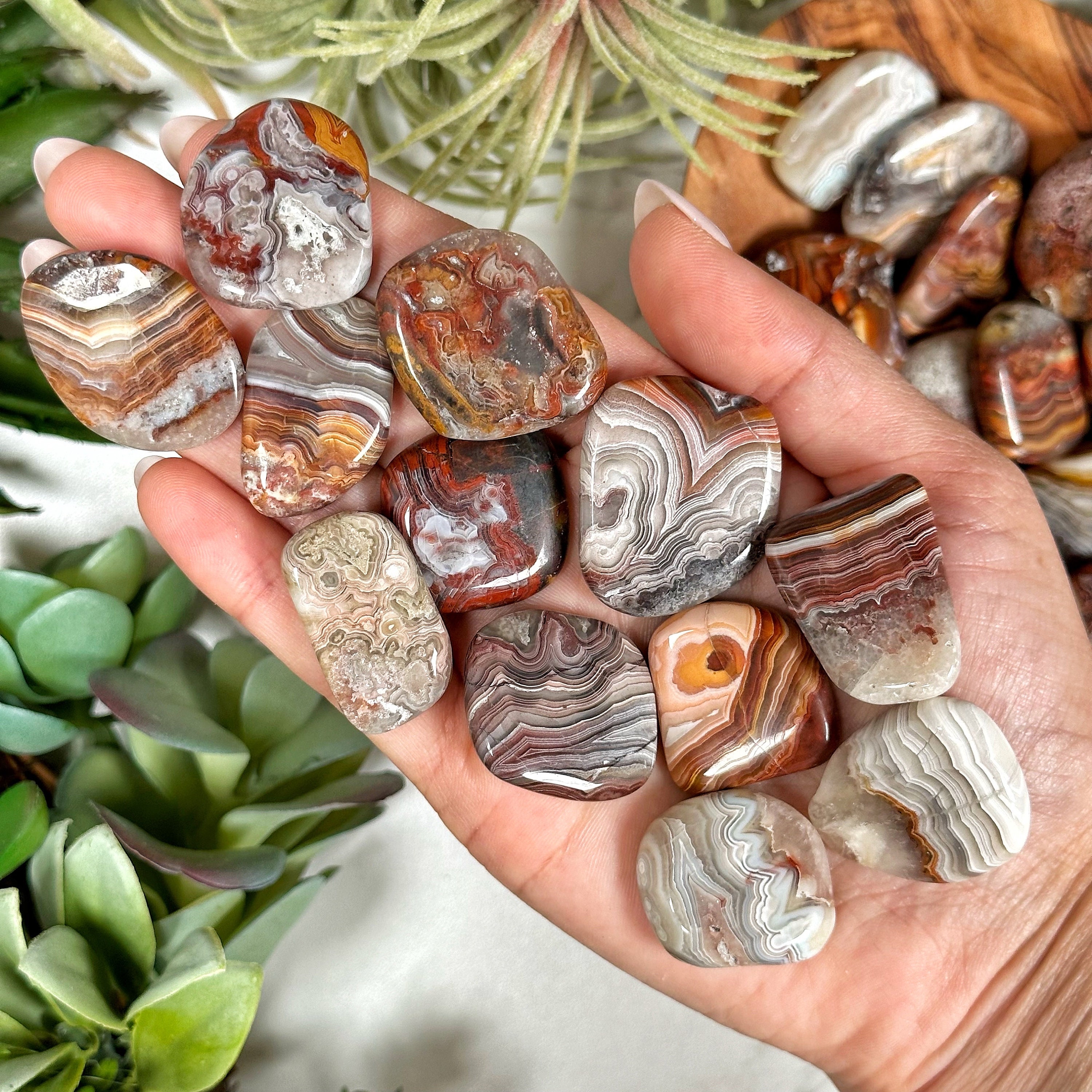 Flat Crazy Lace Agate Pocket Stone - Root, Sacral, and Solar