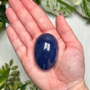 May include: A smooth, oval-shaped, deep blue gemstone. The polished stone is held in a hand, with green and white foliage in the background. The stone's surface reflects light, highlighting its glossy finish.