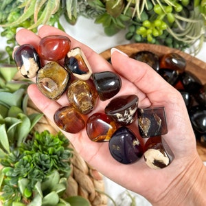 May include: A collection of polished amber stones in various shapes and sizes, showcasing a range of warm brown and golden hues. Some stones have lighter, opaque patches. The stones are smooth and appear to be tumbled.