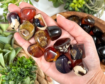 100% Genuine Amber Tumbles - Solar Plexus Chakra - No. 441