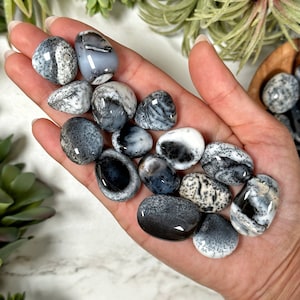 High Quality Dendritic Opal Tumbles - Root and Crown Chakra - No. 321