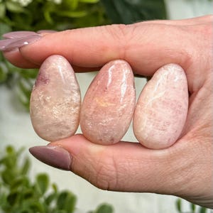 Peut inclure: Trois pierres précieuses roses polies, de forme ovale, avec des nuances et des motifs variés. Les pierres sont tenues dans une main, mettant en valeur leurs surfaces lisses et brillantes. Les pierres précieuses semblent être des cristaux naturels.