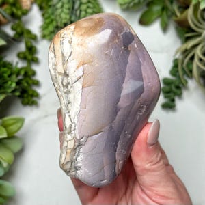 Hyacinth Jasper Freeform - #1
