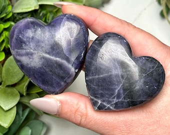 May include: Two heart-shaped stones with a deep purple hue and white veining are held in a hand. The polished stones have a smooth, reflective surface. The background includes green foliage.