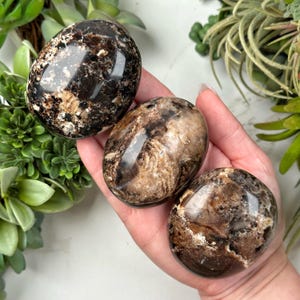 May include: Three polished, oval-shaped stones in shades of dark brown and tan. The stones have a glossy, reflective surface. They are held in a hand, with green plants in the background. The stones appear to be natural crystals or minerals.