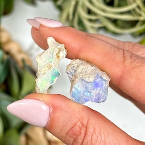 May include: Two pieces of rough opal, one white and one blue, with iridescent flashes of colour. The opals are held in a hand.