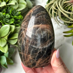 Flashy Black Moonstone Freeform - #3