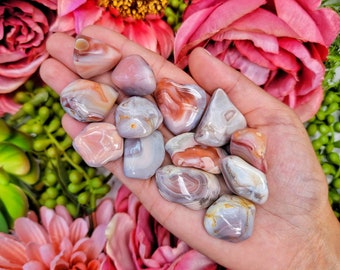 Pink Botswana Agate Tumble- Root & Heart Chakra - No. 401